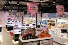 韩国化妆品加盟排行榜前十名(韩国进口化妆品加盟店)