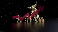 替代品牌排行榜(国产替代品牌)