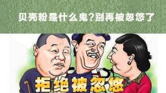 贝壳粉品牌排行榜(贝壳粉品牌排行榜新)