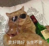 薏米饼品牌排行榜(薏米饼品牌排行榜前十名)