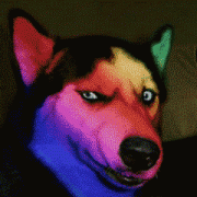 男童纯色睡衣品牌排行榜(十大男睡衣品牌排行榜)