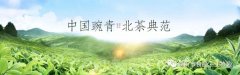 临沂茶业品牌排行榜(临沂什么茶好)