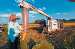 十堰手持喷码机品牌排行榜