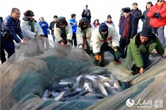 水靴品牌排名榜大全图片(水鞋排行榜)