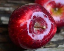 水果清洗打蜡机品牌排行榜(水果打蜡机价格)