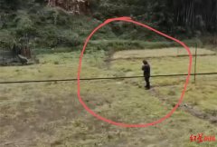 梧州儿童漆品牌排行榜(梧州涂料厂)