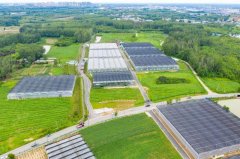 活体菜品牌排行榜(活体菜品牌排行榜)