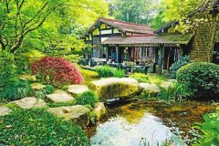 国产十大电茶炉品牌排行榜(中国十大电茶炉品牌)