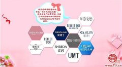 淘宝品牌营销排行榜(淘宝品牌销售数据分析)