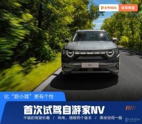 nv膜品牌排行榜(国产膜排行榜)