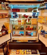 立式冰柜品牌排行榜名称(冰柜十大排名品牌有哪些)