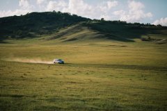 荷兰铸铁小众品牌排行榜(荷兰工业品牌)