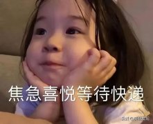 棕色格子品牌排行榜(棕色格子素材)