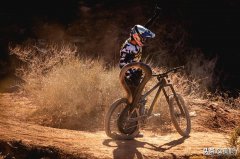 国产山地车轮胎品牌排行榜(国产山地车轮胎品牌排行榜大全)