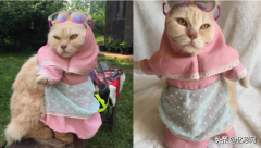 超人卫衣品牌排行榜(卫衣十大品牌)