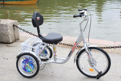 电瓶自行车品牌排行榜(电动自行车电瓶排行榜)