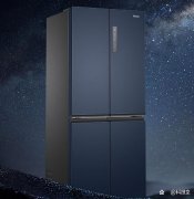 性价比法式冰箱品牌排行榜(家庭式冰箱那个品牌好)