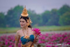 淑女品牌衣服排行榜(淑女品牌衣服有哪些)