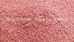 女士干练皮鞋品牌排行榜(品牌女士休闲运动鞋)