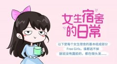 飞卫生巾品牌排行榜(飞卫生巾是哪个国家的?)