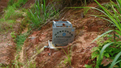 瑞金车载扬声器品牌排行榜(瑞金车载扬声器品牌排行榜前十名)