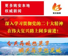 昆明电动执法车品牌排行榜(云南昆明电动车)