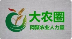 红皮洋葱品牌排行榜(红皮洋葱的价格)